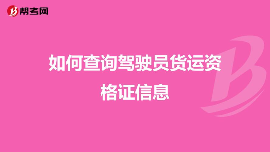 怎样查自己的货运证信息怎样查自己的货运证信息查询